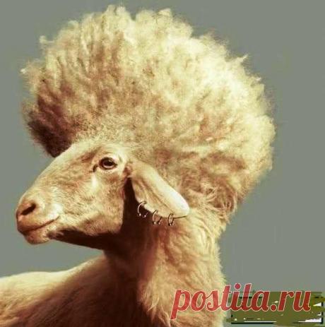 Всё! Пошла на распродажу! -&gt; стихи и проза на Избе-Читальне