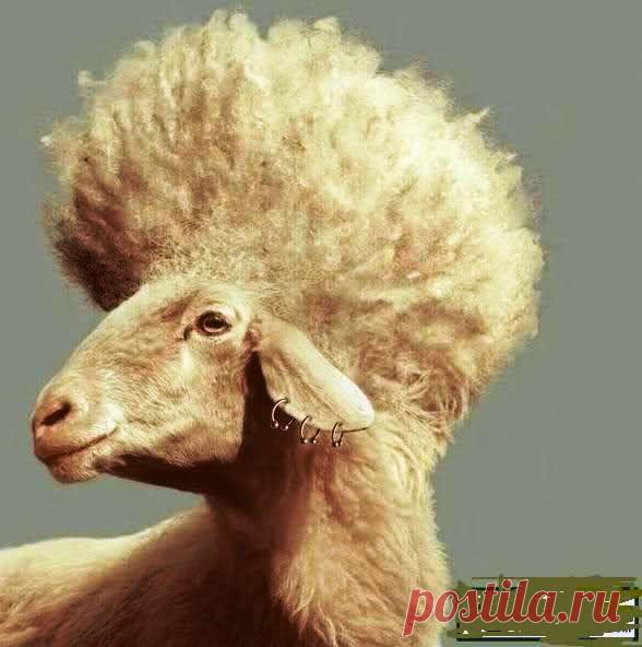 Всё! Пошла на распродажу! -> стихи и проза на Избе-Читальне