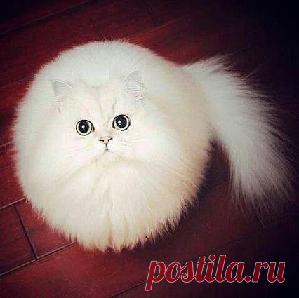 Самое интересное в мире