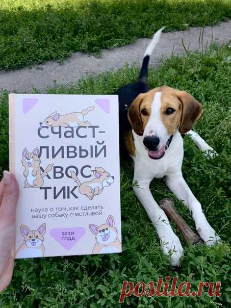 Занимательная статистика: у МИФовцев дома живет 131 собака. Поэтому мы всеми руками и лапами были за издание книги «Счастливый хвостик» ➠ mif.to/nsfND Эта книга посвящена тому, что говорит нам о собаках наука и как это влияет на их благополучие. В ней рассказывается, как завести собаку, как ее тренировать, каково социальное поведение собак, как они играют, что едят, сколько спят и как сгладить стресс при посещении ветеринара. Есть даже глава об угасании питомца для тех, кто переживает этот…