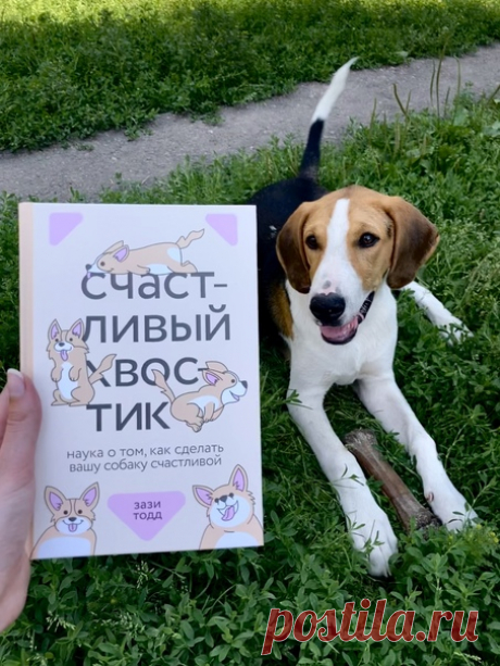 Занимательная статистика: у МИФовцев дома живет 131 собака. Поэтому мы всеми руками и лапами были за издание книги «Счастливый хвостик» ➠ mif.to/nsfND Эта книга посвящена тому, что говорит нам о собаках наука и как это влияет на их благополучие. В ней рассказывается, как завести собаку, как ее тренировать, каково социальное поведение собак, как они играют, что едят, сколько спят и как сгладить стресс при посещении ветеринара. Есть даже глава об угасании питомца для тех, кто переживает этот…