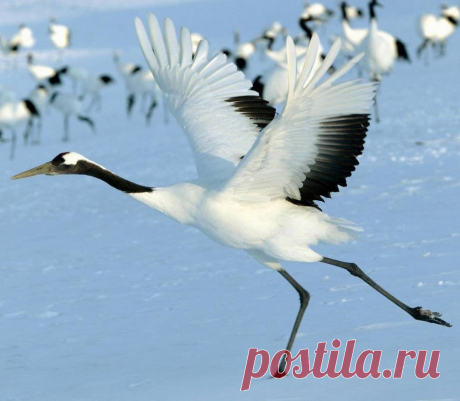 Мой Мир@Mail.Ru