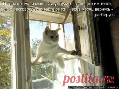 Новости