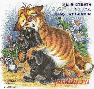 Интересные новости