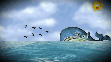 Жил в одном море китёнок. И не просто китёнок. Нет, нет!