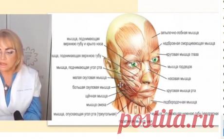 Скриншот-04-10-2025 16:47:16.jpg