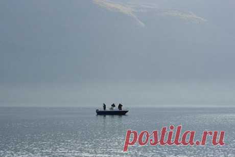 На Камчатке погибли двое рыбаков. На Камчатке нашли мертвыми двух рыбаков, которые пропали вечером во вторник, 27 сентября. Об этом сообщили в краевом управлении МЧС, пишет «Кам 24». Спасатели нашли тела двух человек на берегу. Днем ранее они обнаружили перевернутую лодку рыбаков. Рыбаки вечером 27 сентября вышли из бухты Большой Саранной.