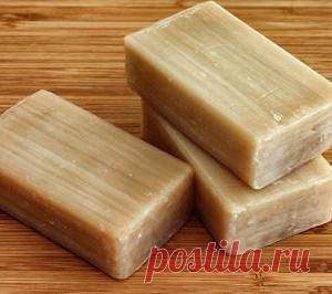 Минeральная вода, чeснок и жидкоe мыло в помощь домашним растeниям☝ - МирТесен