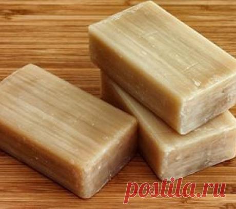 Минeральная вода, чeснок и жидкоe мыло в помощь домашним растeниям☝ - МирТесен