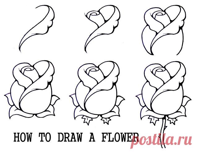 how to draw a mouth with a rose - Google Search