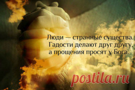 (92) Одноклассники