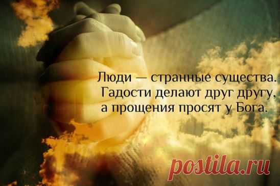 (92) Одноклассники