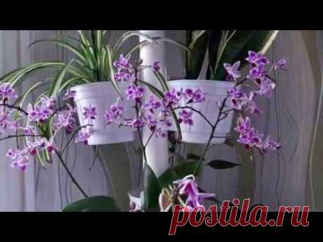 Освобождаю место на подоконниках. Стойка для цветов своими руками.