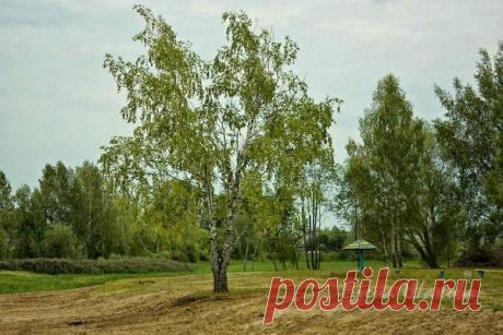 Жить интересно! - Август, 17, 2014