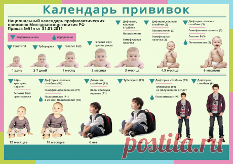 Календарь прививок