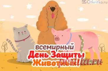 Пусть любимцы дарят радость,
Каждый день снимают стресс.
Не терять желаю к жизни
Вместе с ними интерес. Открытки на День защиты животных.