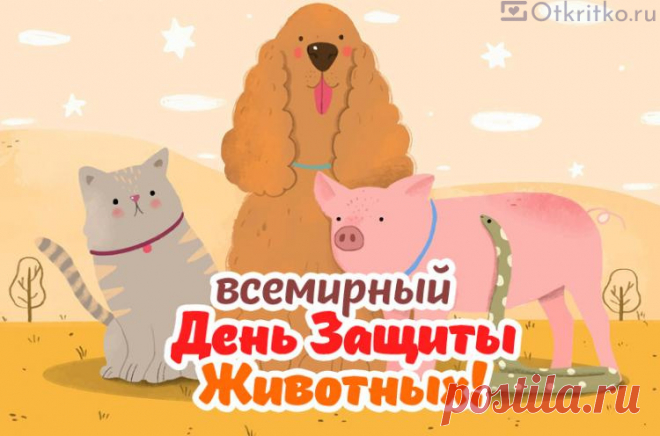 Пусть любимцы дарят радость,
Каждый день снимают стресс.
Не терять желаю к жизни
Вместе с ними интерес. Открытки на День защиты животных.