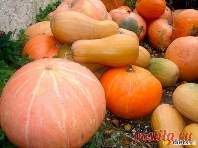 БЛЮДА ИЗ ТЫКВЫ. 20 РЕЦЕПТОВ.: : Дневники - diets.ru