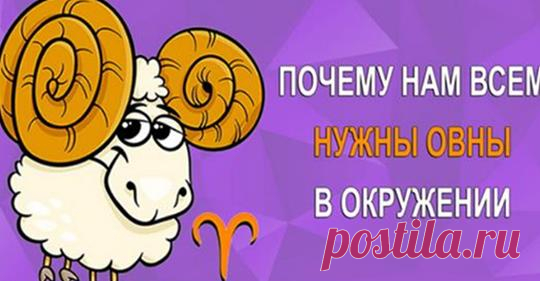 (12) Facebook