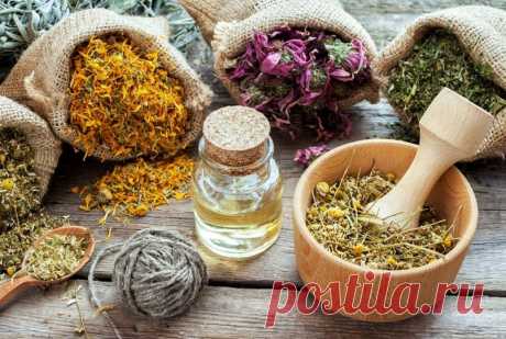 Компрессы из трав.