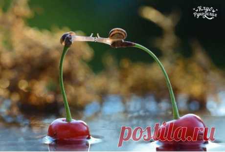 Для любви нет преград ❤❤❤ / Рукоделие