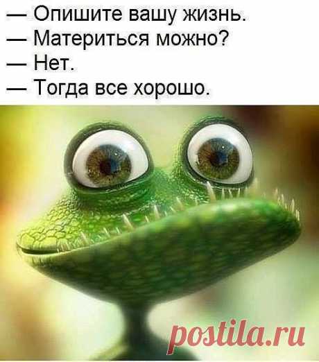 Подборка шуток о жизни женщинах