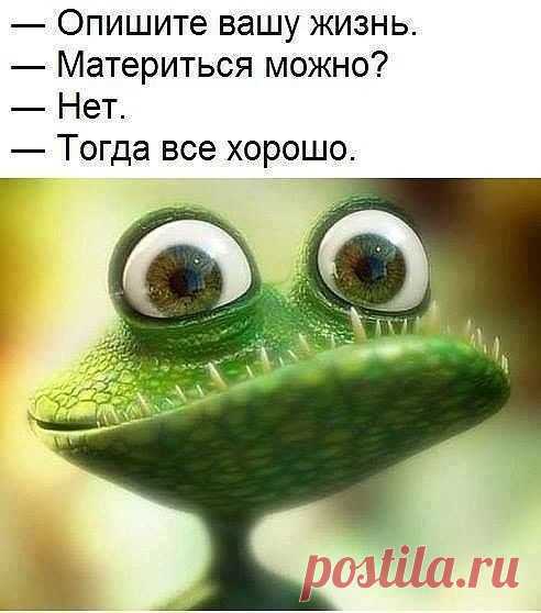 Подборка шуток о жизни женщинах