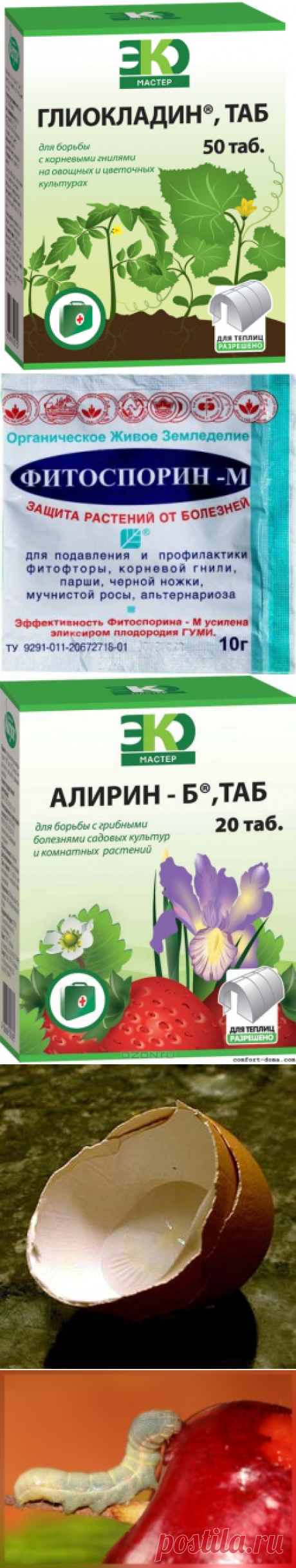 Биопрепараты от болезней растений. Как побороть вредителей.