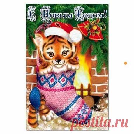 НОВОГОДНИЙ - 50 фото. Фотографии zoja simonova.