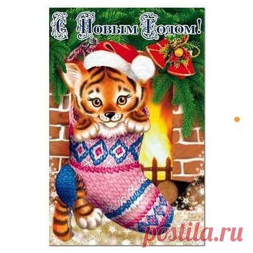 НОВОГОДНИЙ - 50 фото. Фотографии zoja simonova.