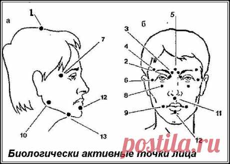 Биологически активные точки на голове — ваша скорая помощь!