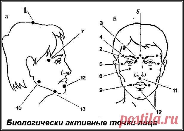 Биологически активные точки на голове — ваша скорая помощь!