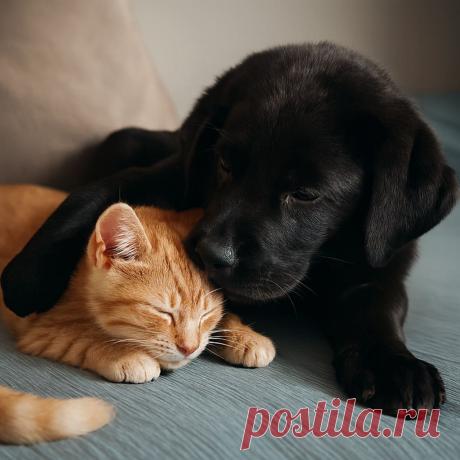 Два калеки - OGADANIE.RU