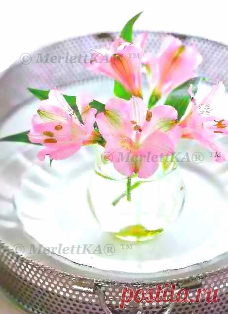 Праздничная сервировка стола... приборы и идеи