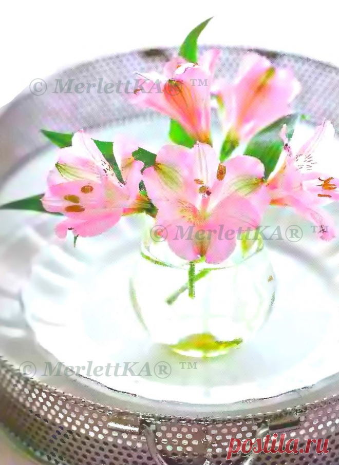 Праздничная сервировка стола... приборы и идеи