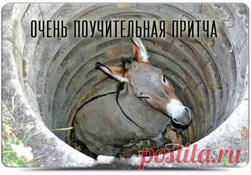 Однажды осел упал в колодец и стал громко вопить, призывая на помощь. На его крики прибежал хозяин ослика и развел руками - ведь вытащить ослика из колодца было невозможно.Тогда хозяин рассудил так: «Осел мой уже стар, и ему недолго осталось, а я все равно хотел купить нового молодого осла.