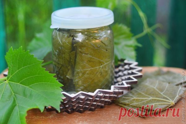 Маринованные виноградные листья | Банк кулинарных рецептов