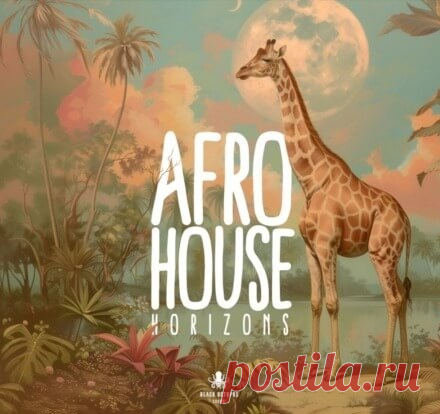 Black Octopus Sound Afro House Horizons [WAV, Synth Presets] free download mp3 music 320kbps