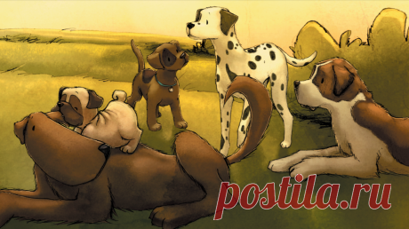 Лучший друг человека. Интересные факты о собаках из книг МИФа Символом 2018 года является собака. Наверняка, вы уже в курсе. А знаете ли вы, что собака символизирует верность, честность, отзывчивость, самоотверженность, ответственность, надежность? А что собаки спасают нас от депрессии, ожирения, сердечно-сосудистых заболеваний? Вот несколько отрывков из наших книг, которые расскажут о том, кто же они такие — лучшие друзья человека —