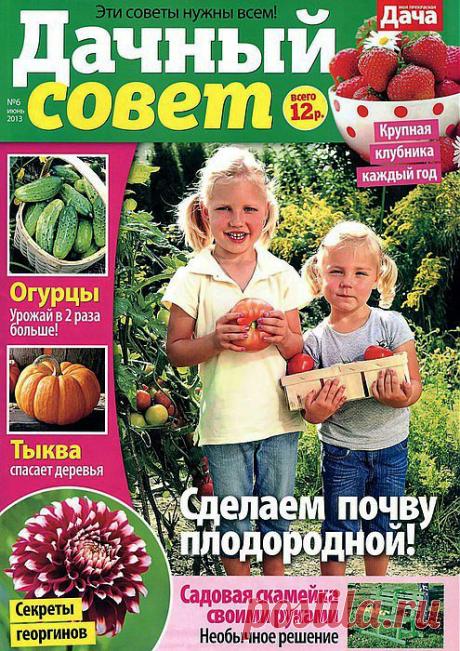 Дачный совет - 2013/6.