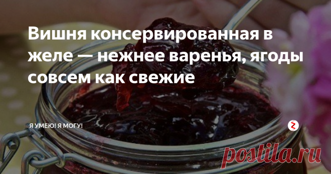 Вишня консервированная в желе — нежнее варенья, ягоды совсем как свежие Вкусная консервированная вишня в желе. Рекомендую попробовать, нежнее варенья, ягоды на вкус как свежие. Самый лучший вишневый дерет к чаю.
Для этой заготовки, впрочем как и для других, нужно использовать только свежие ягоды. Лучше, конечно если у Вас есть собственный сад, Вы сможете взять только сорванные вишни.