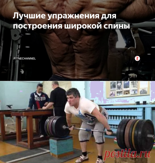 Лучшие упражнения для построения широкой спины | fitnechannel | Яндекс Дзен