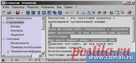 Блокнотик  (русская версия). Лет 15 применяю для хранения ников и паролей, нужных ссылок! Установить на D и всегда он при вас. В строчке Ссылки-закладки.nib хранится база ваших паролей!