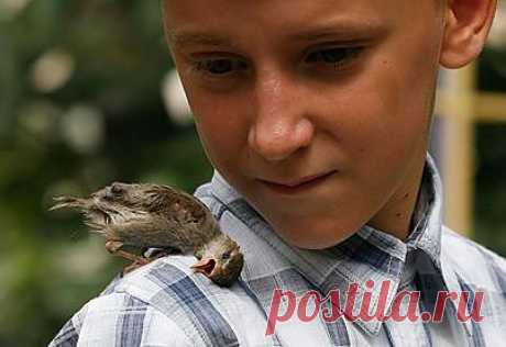 (4) Facebook