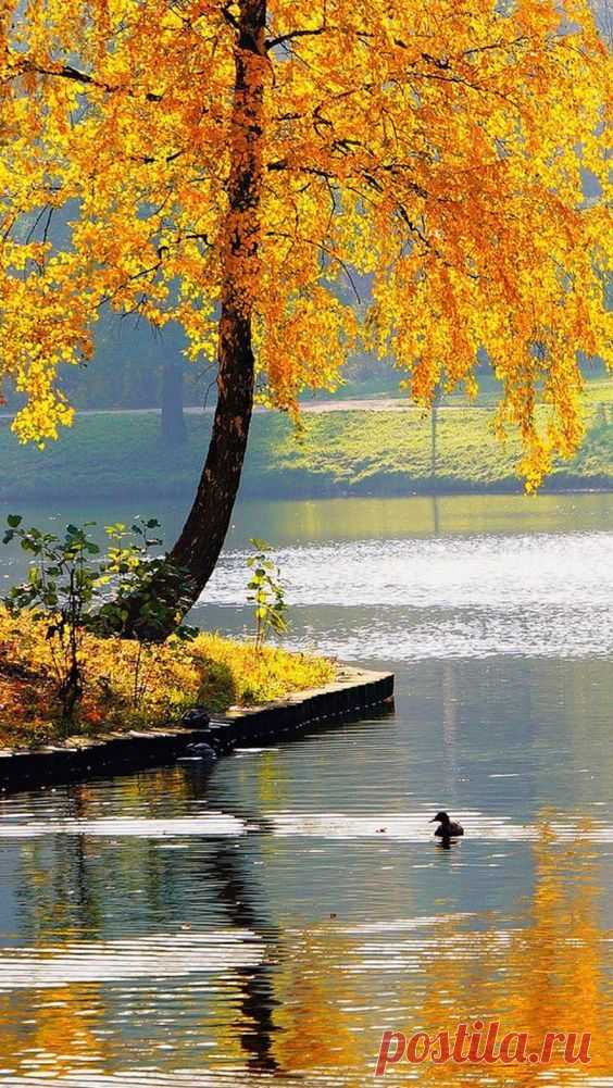 Destination place