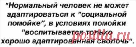 Про воспитание детей. Сложнейшая тактика. Антон Макаренко про социальную помойку.
«Человек не может жить на свете, если у него нет впереди ничего радостного. Истинным стимулом человеческой жизни является завтрашняя радость.» Антон Макаренко. В детстве читала Макаренко, но уже особо не помню, его педагогический эксперимент: из малолетних преступников сделать полноценных людей, которым всё...
Читай пост далее на сайте. Жми ⏫ссылку выше
