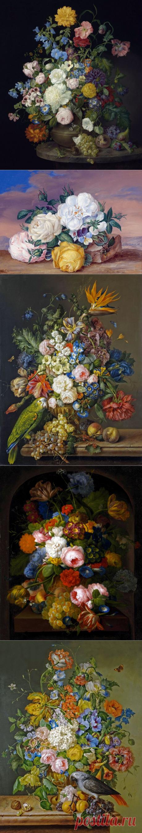 &gt;Franz Xavier Petter | Классический натюрморт.