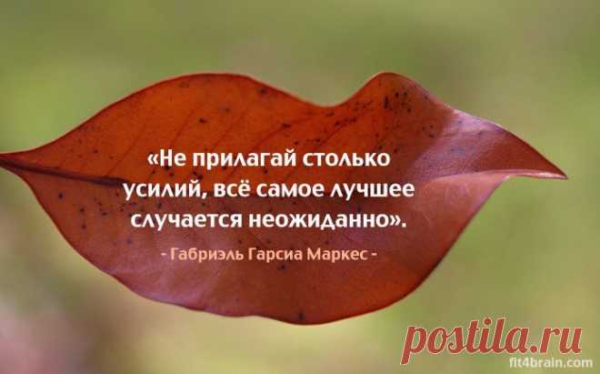 Одной фразой – Фитнес для мозга
