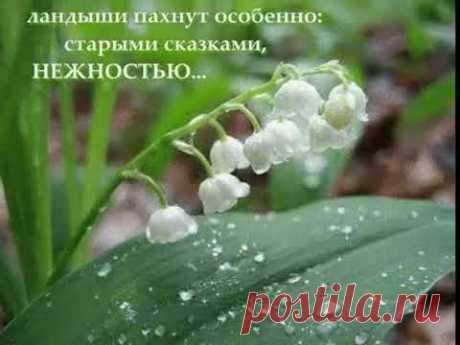 Очередная шаль с ландышами | Вязание шали спицами