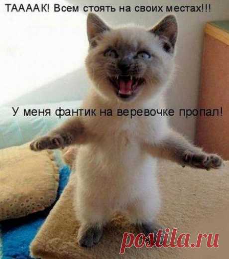 Ералашик ))) - Флуд и юмор для всех - Группы Мой Мир